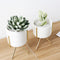 3pc Ceramic Flower Planters with Iron Shelf Succulent Plant Pot