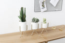 3pc Ceramic Flower Planters with Iron Shelf Succulent Plant Pot