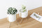 3pc Ceramic Flower Planters with Iron Shelf Succulent Plant Pot