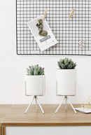 3pc Ceramic Flower Planters with Iron Shelf Succulent Plant Pot