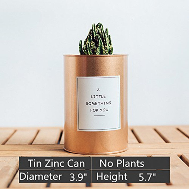 Nordic Style Metal Can Cylinder Plant Holder